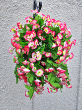 Load image into Gallery viewer, Fuchsia and White Morning Glory Trailing Hanging Basket