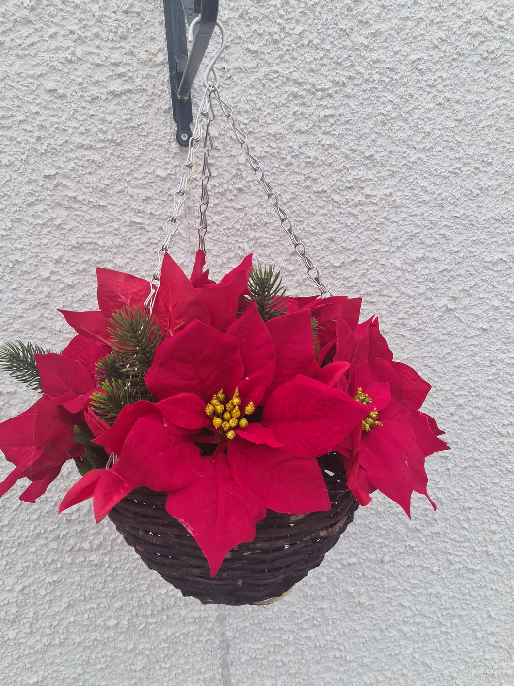 Large Red Poinsettia Hanging Basket outdoor Winter Outdoor Flowers