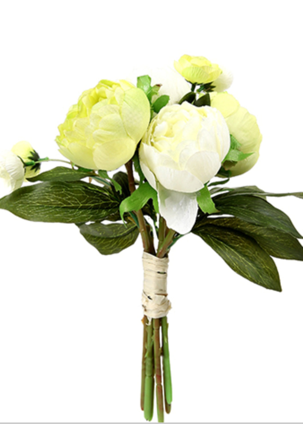 Ivory and Green Peony Bunch x 2